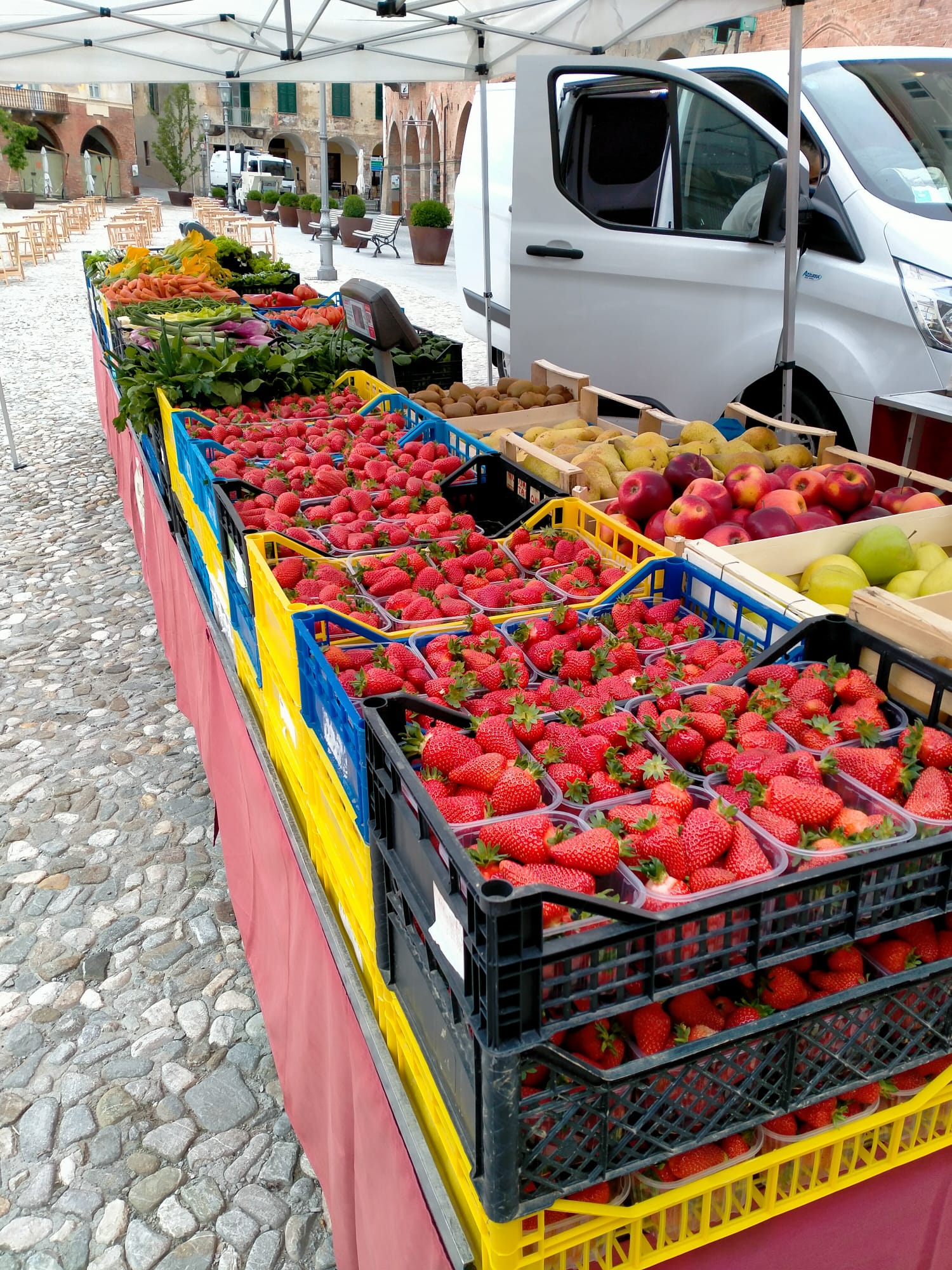 FOTO14