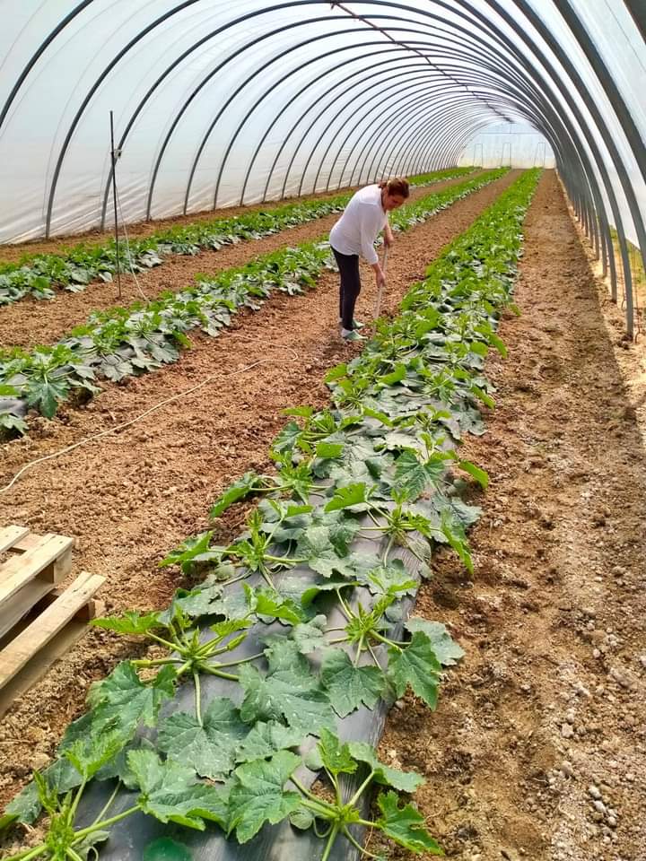 FOTO5
